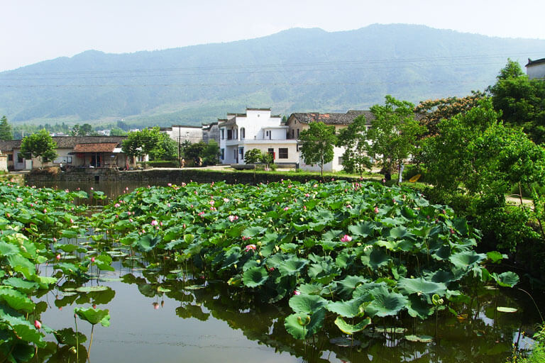 Guanlu Village