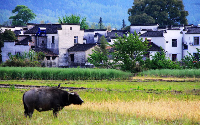 Nanping Ancient Village