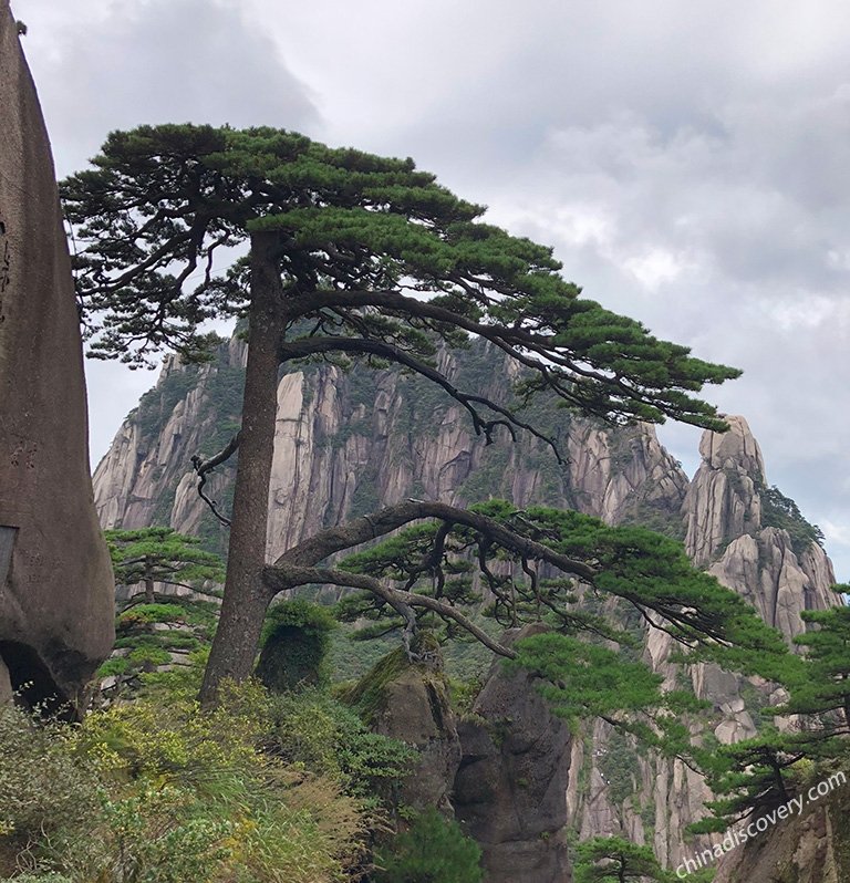 Mt. Huangshan 