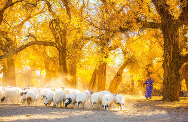 Inner Mongolia Travel