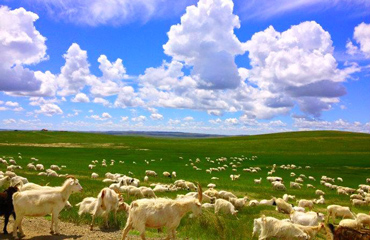 Inner Mongolia Travel