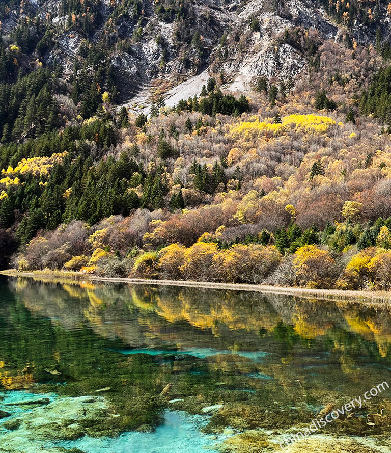 Five Flower Lake