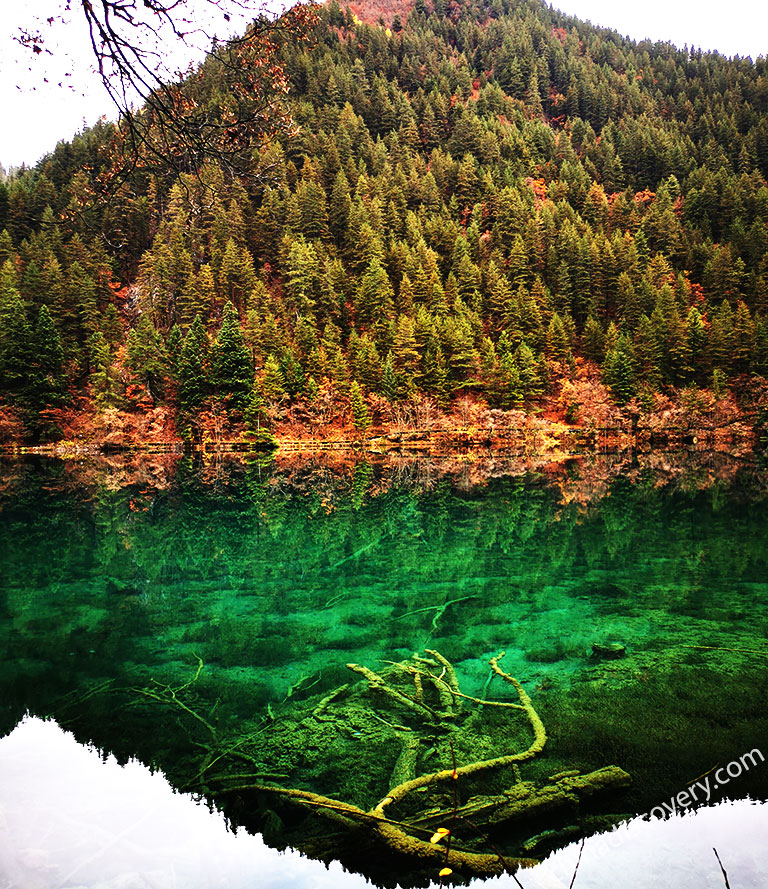 Jiuzhai Valley 九寨沟 And Jiuzhaigou Nature Reserve