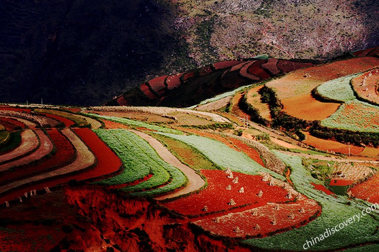 Dongchuan Red Land