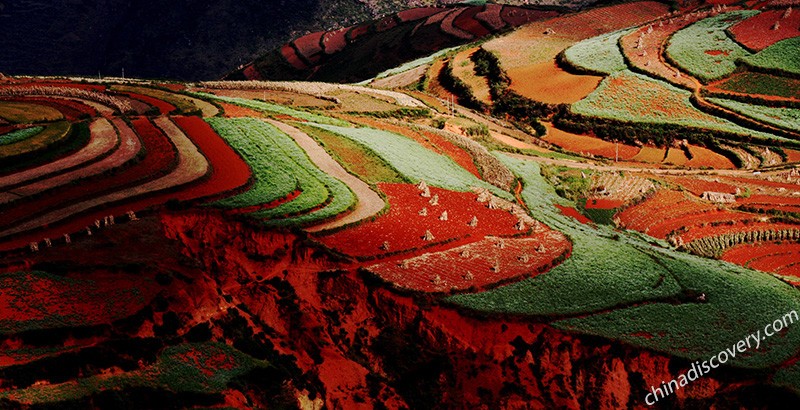 Dongchuan Red Land