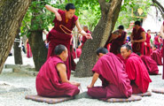 Sera Monastery