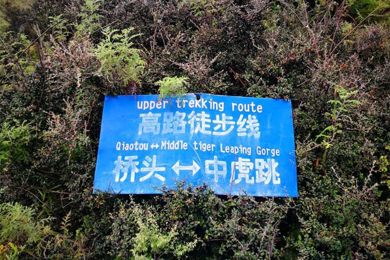 Blue Signs for Upper Trekking Route