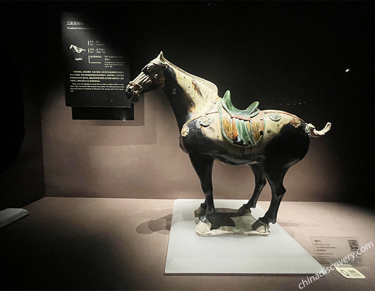 Tri-colored Black Glazed Pottery Horse (AD 618 - 907) in Luoyang Museum
