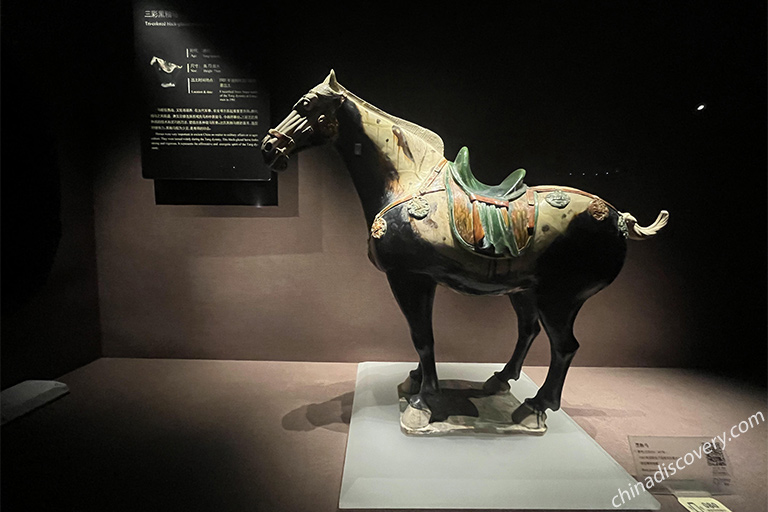 Tri-colored Black Glazed Pottery Horse (AD 618 - 907) in Luoyang Museum