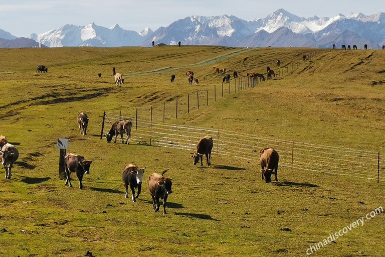 Xinjiang Destinations