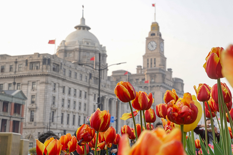 The Bund Shanghai - The Bund Buildings