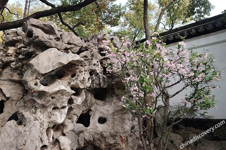 Yu Garden - Yuyuan Bazaar