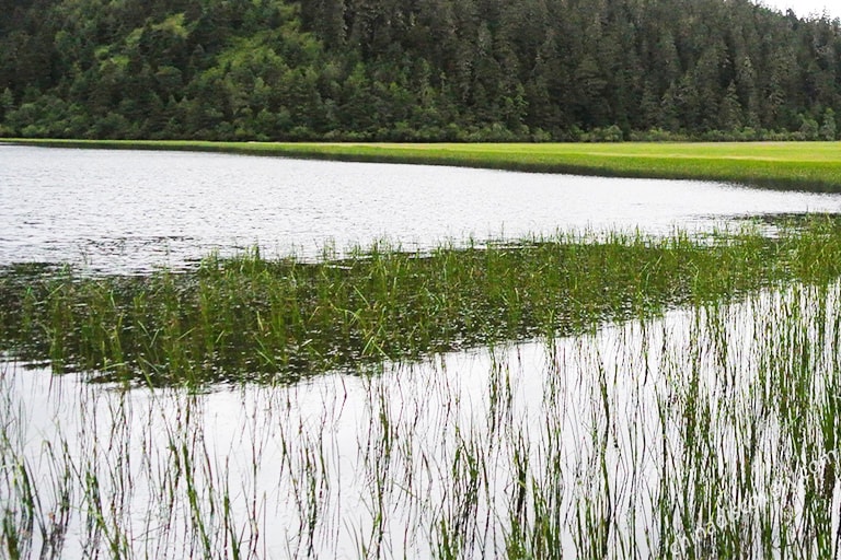 Pudacuo National Park in Shangri-La