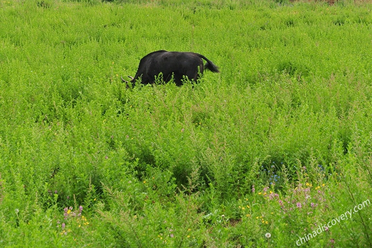 Pudacuo National Park