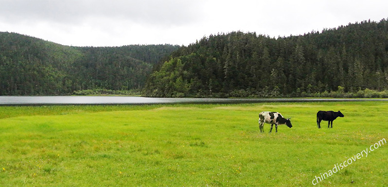 Pudacuo National Park