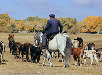 Xinjiang