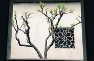 Classical Gardens of Suzhou