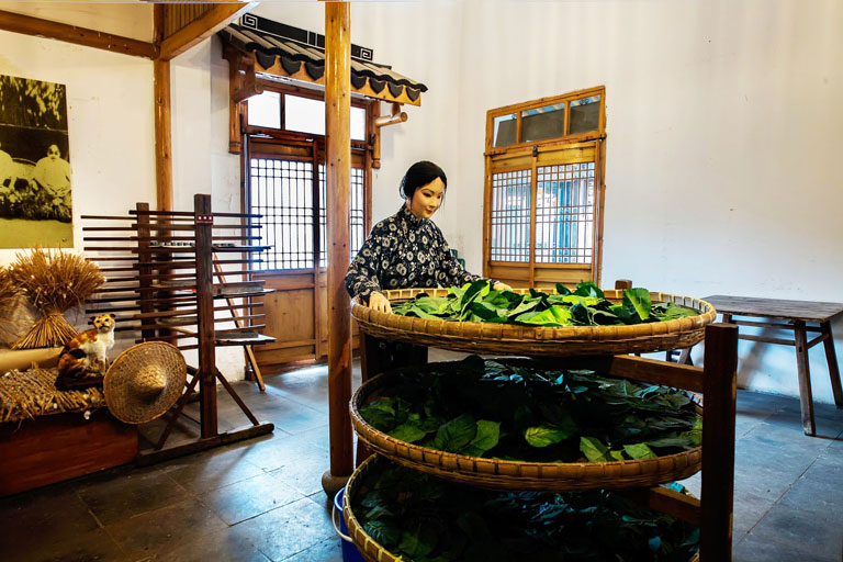 Suzhou Silk Museum