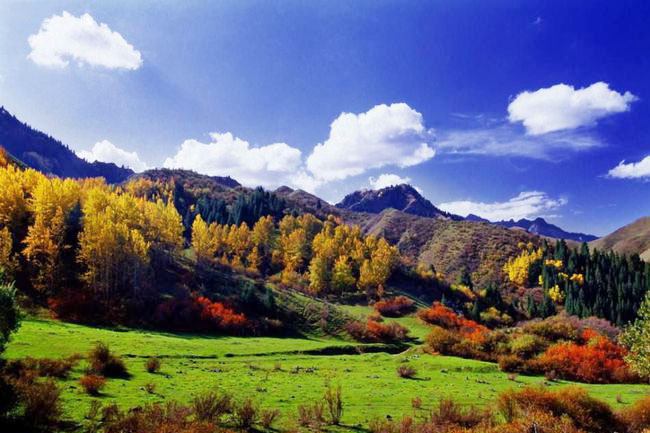 Huaer Ditch Tianchi Lake of Tianshan Mountains
