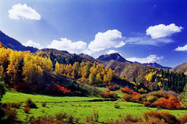 Tianchi Lake of Tianshan Mountains