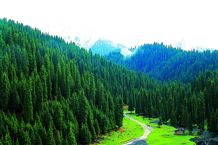 Tianchi Lake of Tianshan Mountains