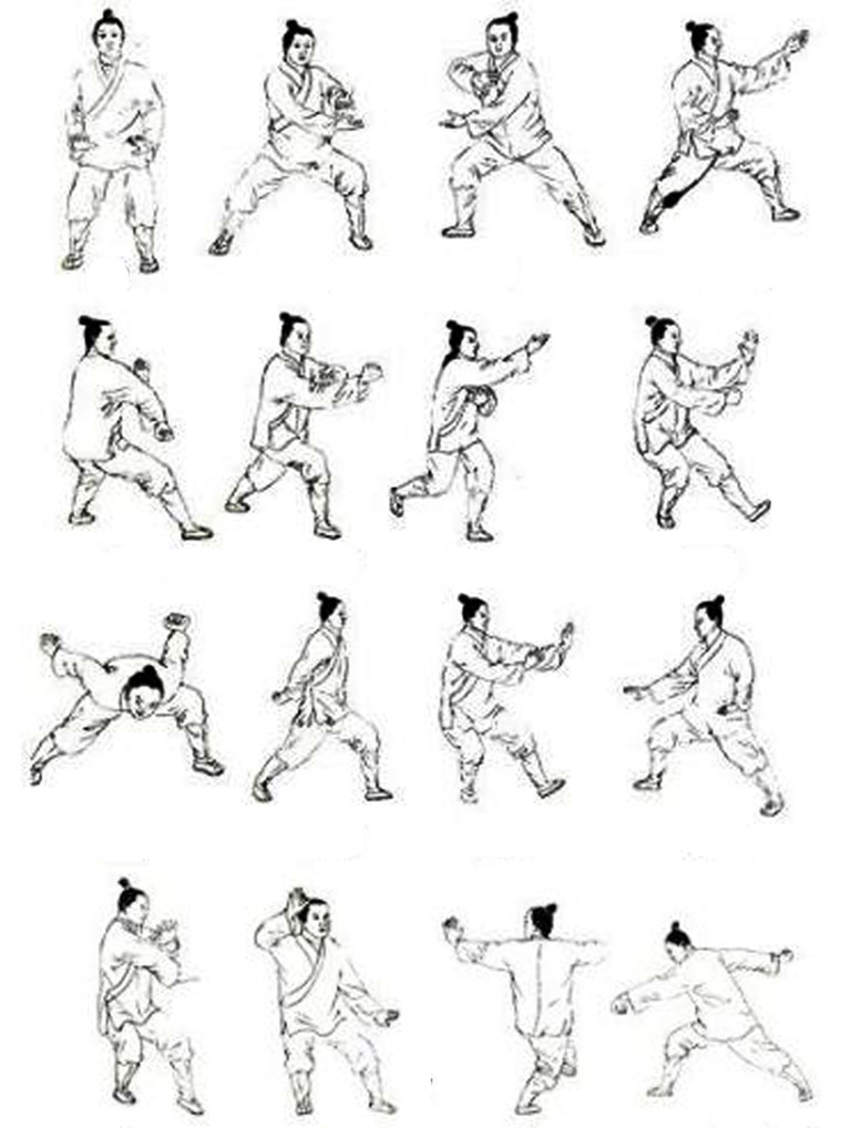 Wudang Tai Chi Postures