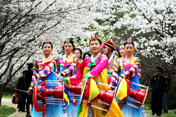 Annual Cherry Blossom Festival Yuantouzhu Scenic Area