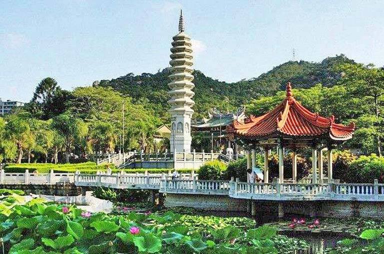 Lotus Flowers Blossom in Nanputuo Temple