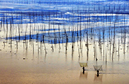 Xiapu Mudflat