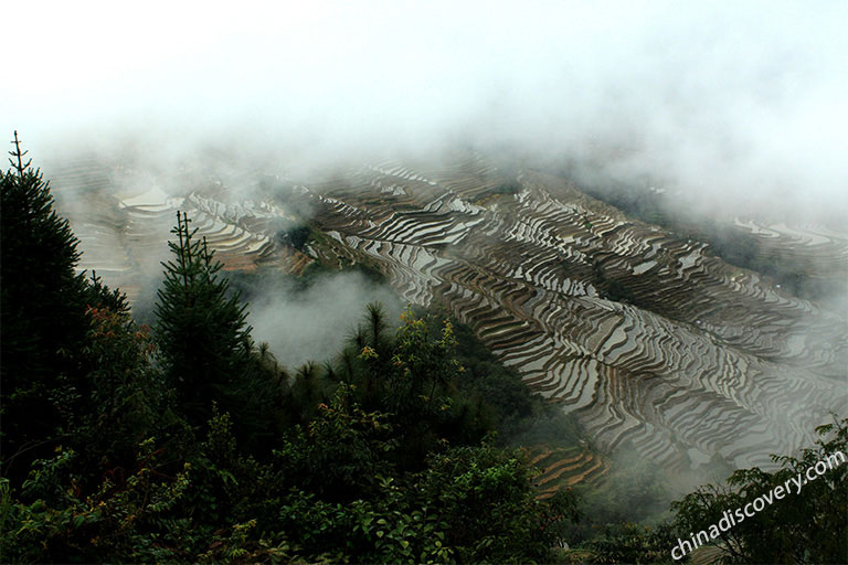 Yuanyang Rice Terraces in Yunnan