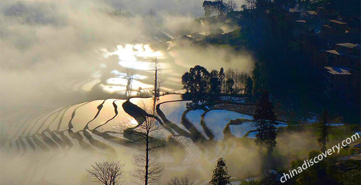 Yuanyang Duoyishi Rice Terraces Sunrise & Morning Scene