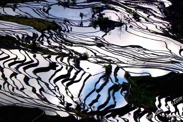 Yuanyang Rice Terraces in May