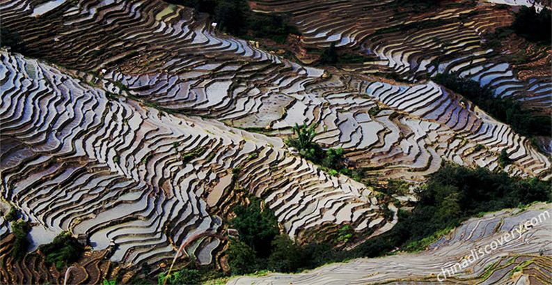 Yuanyang Rice Terraces