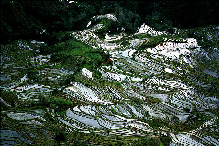 Laohuzui Rice Terraces