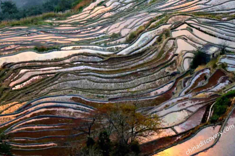 Laohuzui Rice Terrace Sunset