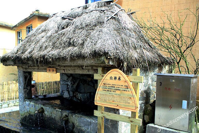 Yuanyang Rice Terraces Mushroom Houses