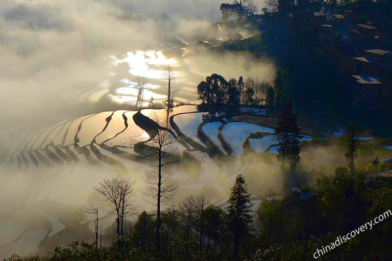 Yuanyang Rice Terraces