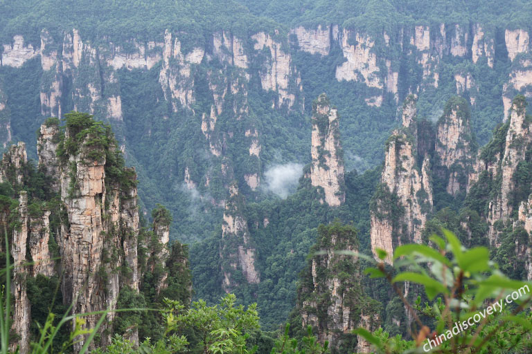 Tianzi Mountain