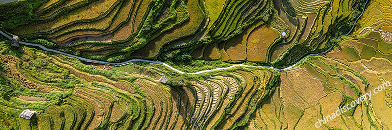Longsheng Kuan's 21 Days China Photography Trip