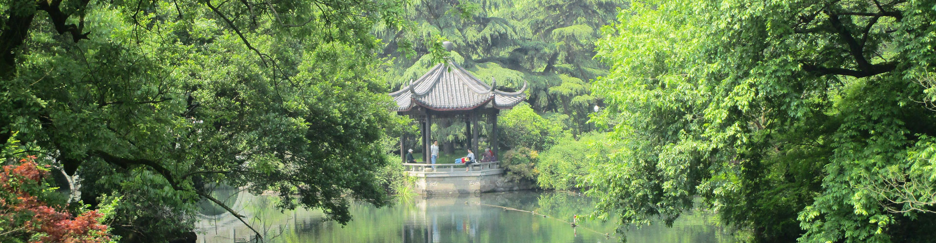 China Tour