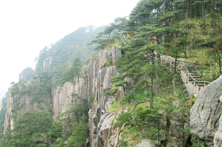 Huangshan Tour