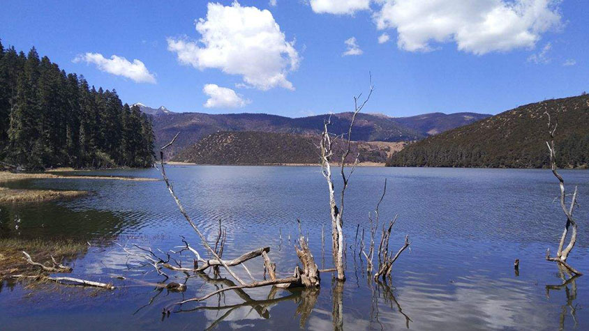 Shudu Lake in Pudacuo National Park, Shangri-La, Tour Customized by Wonder