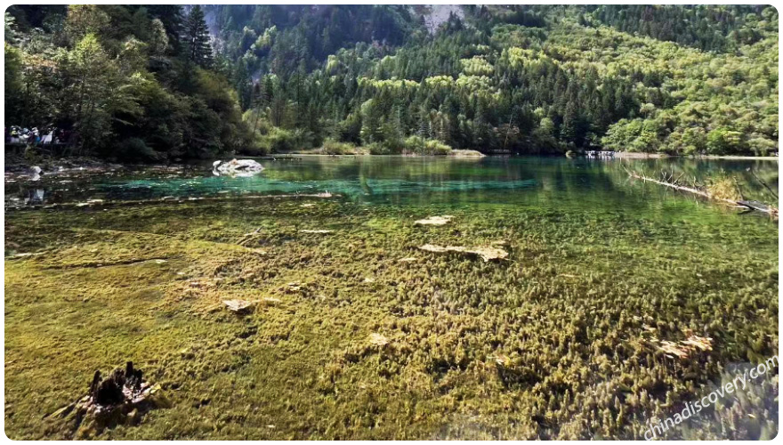 Jiuzhaigou Travel Blog
