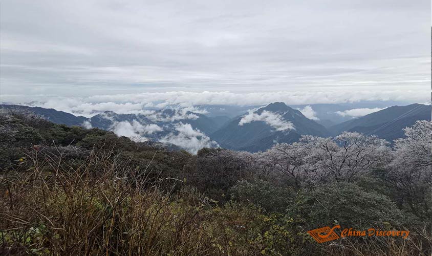 Mount Fanjing Tour