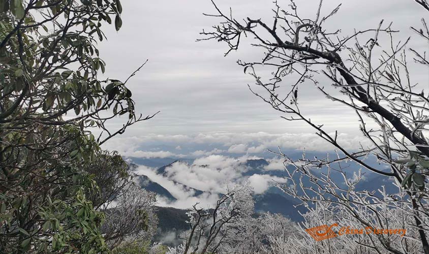 Mount Fanjing Tour