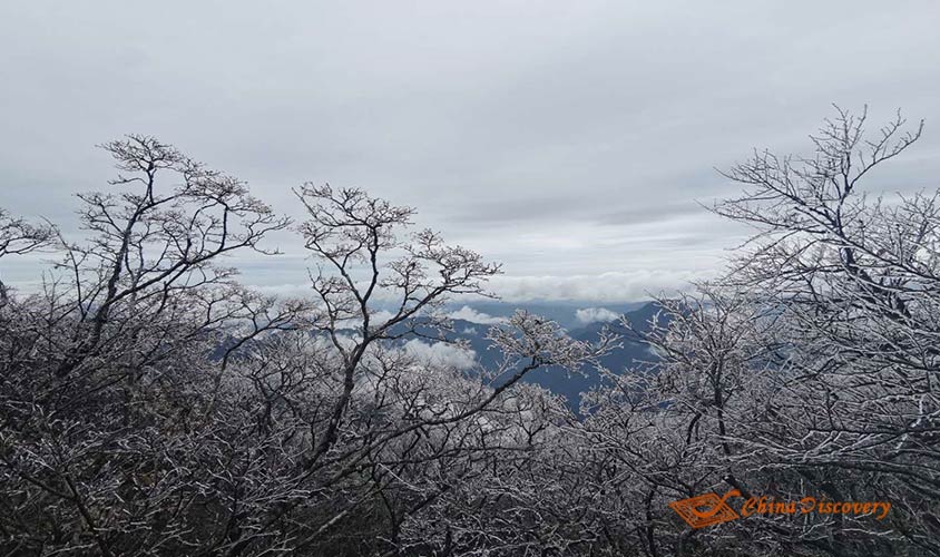 Mount Fanjing Tour