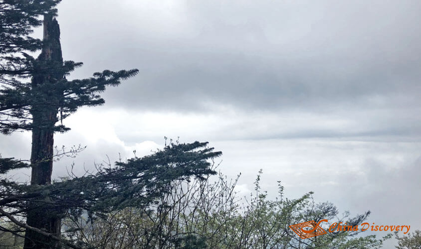 Gorgeous view on the way Mount Emei Tour