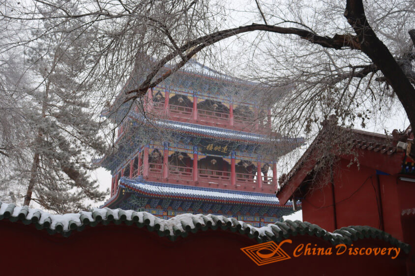 Red Hill 8 Days Silk Road Trip Story