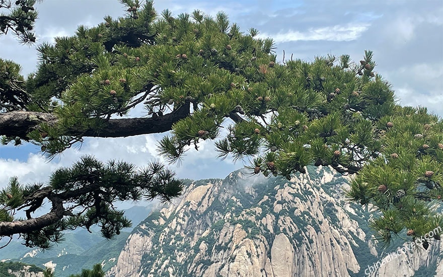 Mount Huashan Mount Huashan Hiking Tour