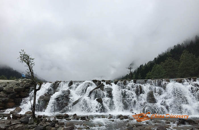 Chengdu Bipenggou Tour